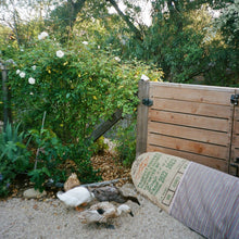 Load image into Gallery viewer, 9'6 Harvest